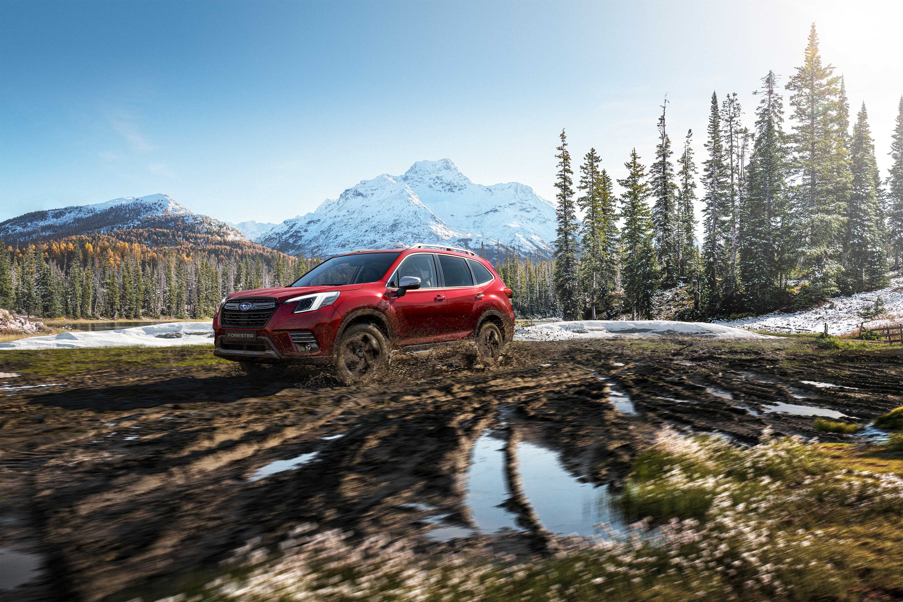 Forester 2022