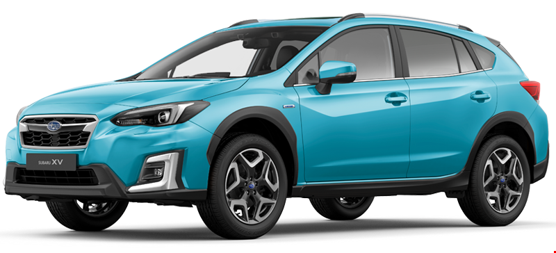 XV eboxer